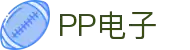 PP电子(中国)官方网站 - PP Electronic